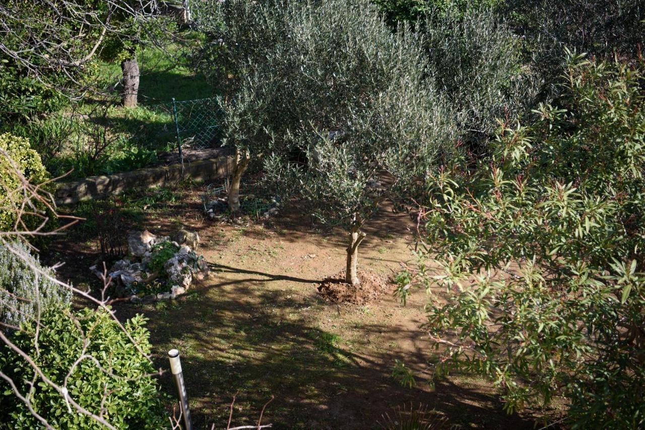 פרמנטורה Villa Claudia Lemon Appartment מראה חיצוני תמונה